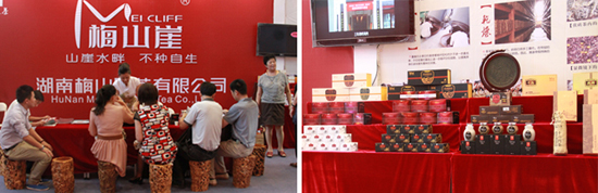 直銷專業網,華萊,博覽會,黑茶文化,新疆