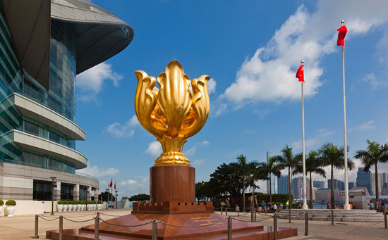 直銷專業(yè)網(wǎng),華萊,茶商,港澳,黑茶產(chǎn)業(yè)