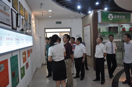 直銷專業網,炎帝