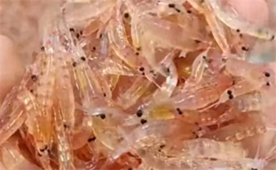 ͬ�������r�͙z��0�������������Ʊ����N�ơ����